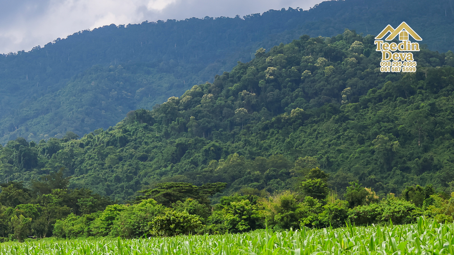 🌿 “ที่ดินในฝัน...ริมสายน้ำ ใต้เงาภูเขา” 2 ไร่ 3 งาน 84 ตรว. ต.เขาพระ อ.เมือง จ.นครนายก 🏞️