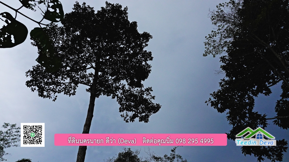 ที่ดินนครนายก ติดลำธารสวยๆ ที่ดินแปลงสวย 6 ไร่ ทำเลดี ในอ้อมกอดของขุนเขา ด้านหลังติดลำธารธรรมชาติ