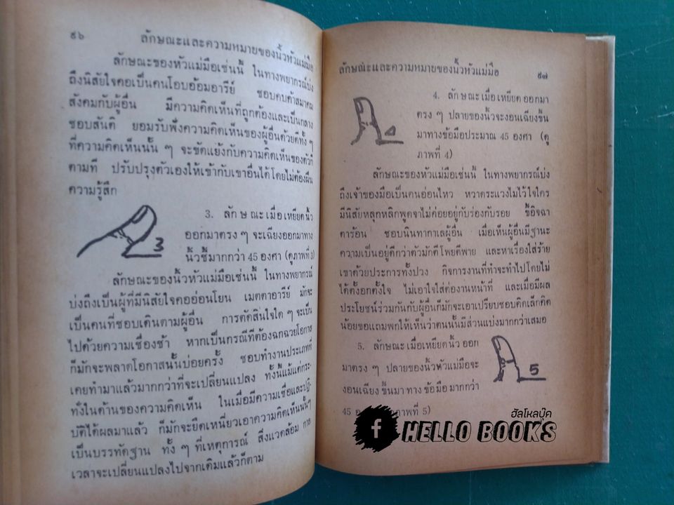 ลายมือ กับ กามารมณ์