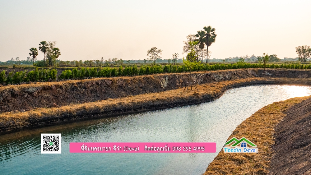 🌿 ที่ดินสวยๆ ขนาด 2 ไร่ พร้อมน้ำไฟ ดินดี น้ำดี อากาศดี มีเพื่อนบ้าน ณ ต.ปากพลี อ.ปากพลี จ.นครนายก