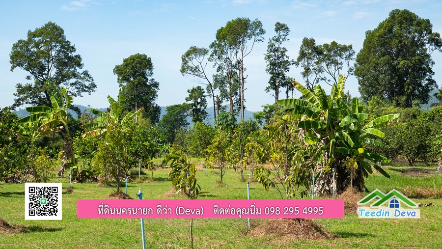 (ติดจอง) ที่ดินนครนายก บ้านสวน พร้อมที่ดิน ขนาด 1 ไร่ 1 งาน วิวภูเขาสวย อยู่ใกล้เขื่อนขุนด่านปราการชล