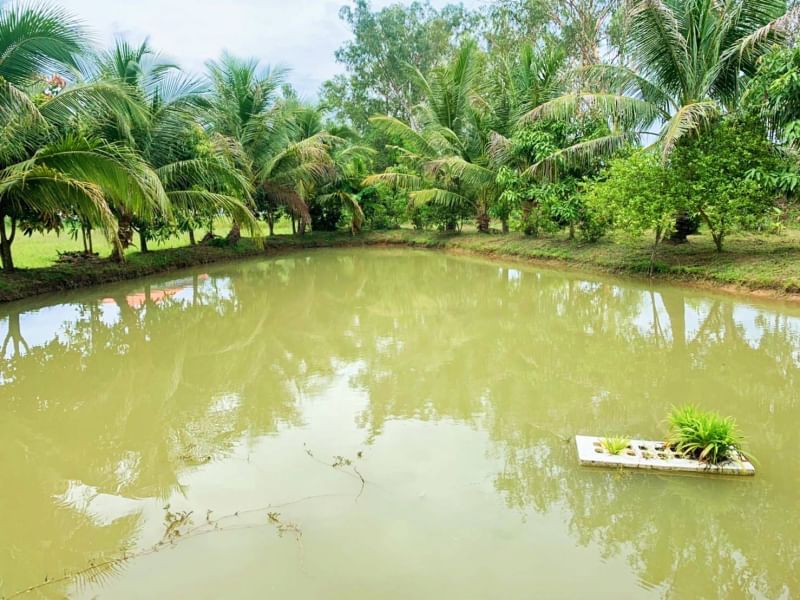 ที่ดินนครนายก บ้านสวนผลไม้ พื้นที่ 1 ไร่ 1 งาน ติดคลองส่งน้ำ ปลูกผลไม้หลากหลาย อ.ปากพลี จ.นครนายก