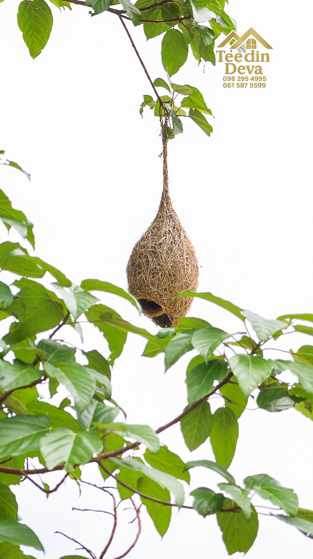 ที่ดินติดภูเขา เนินสวย พร้อมพัฒนารีสอร์ทหรือพูลวิลล่า 1 ไร่ ต.เขาพระ อ.เมือง จ.นครนายก 🏡