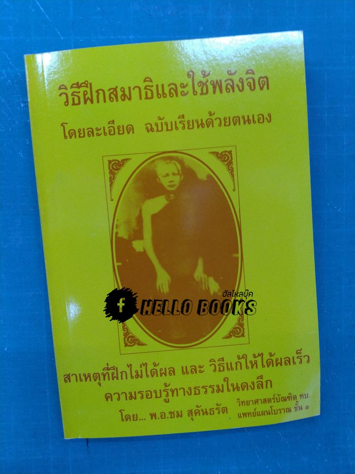 วิทยาศาสตร์ทางใจ, แพทย์ ๓ แผน, วิธีฝึกสมาธิและใช้พลังจิต