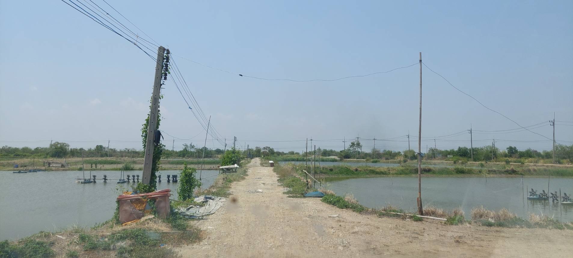 • ขาย ที่ดิน เนื้อที่ 8 ไร่ ถนนจรัญยานนท์ อำเภอบางปะกง ฉะเชิงเทรา • เป็นที่ดินบ่อกุ้ง/บ่อปลา อยู่ติดคลองสำโรง ใกล้ถนนบางนา-ตราด • เหมาะสำหรับธุรกิจบ่อตกปลา/ตกกุ้ง เลี้ยงปลาเลี้ยงกุ้ง หรือร้านอาหาร.