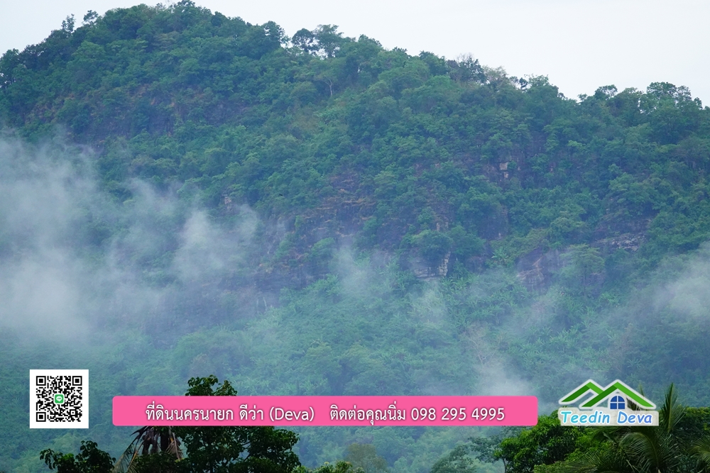 ที่ดินนครนายก วิวภูเขาสวยๆ ราคาแปลงละ 1.36 ล้านบาท สด และผ่อน