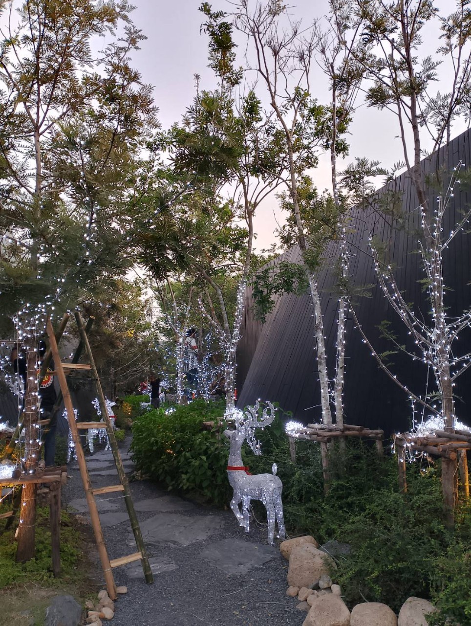 ผลงานการประดับไฟต้นไม้ ติดตั้งกวางเรนเดียร์จากทางร้าน ตกแต่งสถานประกอบการของคุณลูกค้าทุกท่านด้วยไฟหยดน้ำยอดนิยม เกรดคุณภาพ ที่ทางร้านคัดสรรรูปแบบ สีสัน ขนาด มาให้เลือกถึงมือคุณ สนใจสอบถามเพิ่มเติมได้ที่ 0628685557 ฝ่ายบริการ Customer Service By Sarin Bangkok
