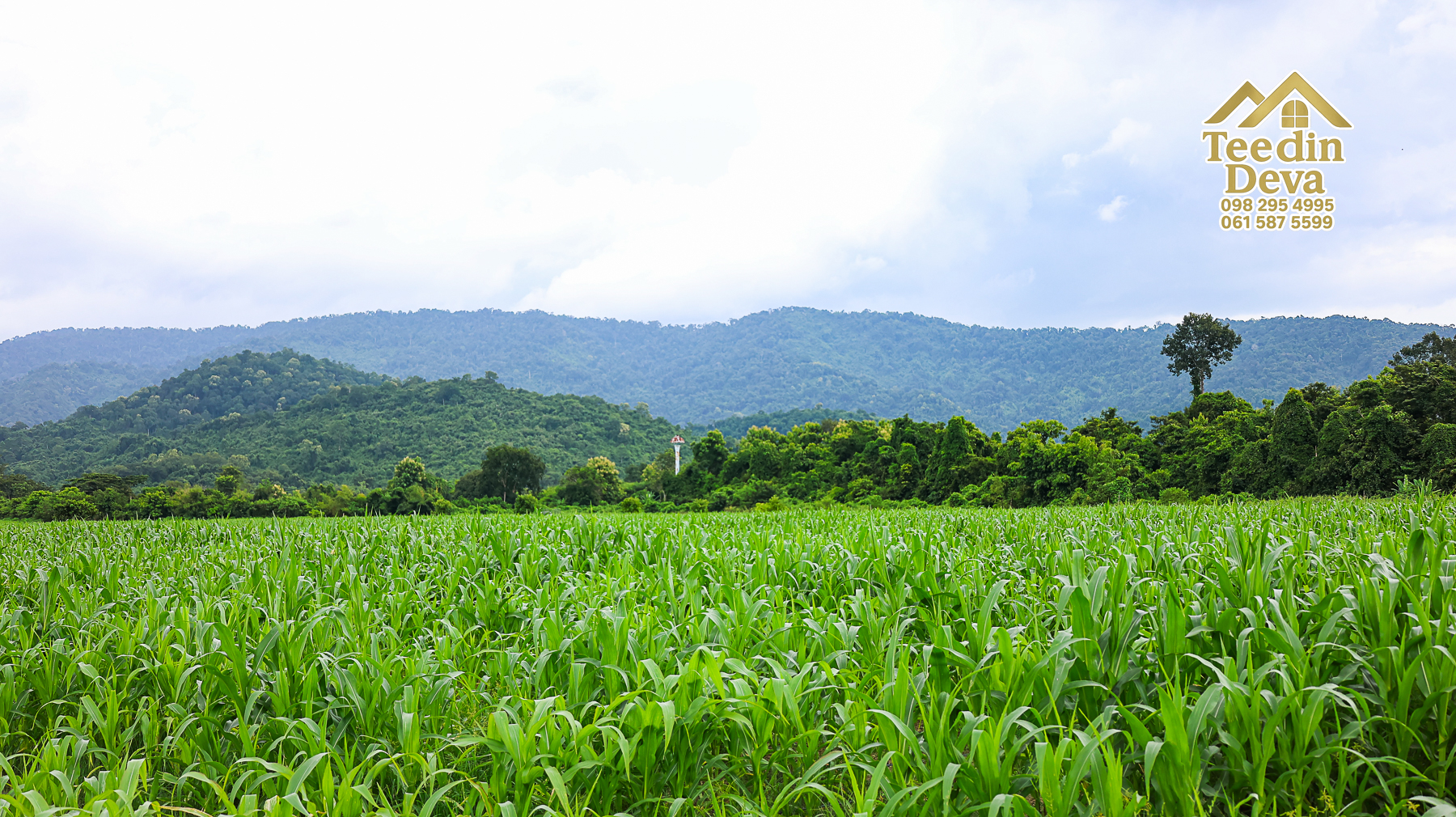 🌿 “ที่ดินในฝัน...ริมสายน้ำ ใต้เงาภูเขา” 2 ไร่ 3 งาน 84 ตรว. ต.เขาพระ อ.เมือง จ.นครนายก 🏞️