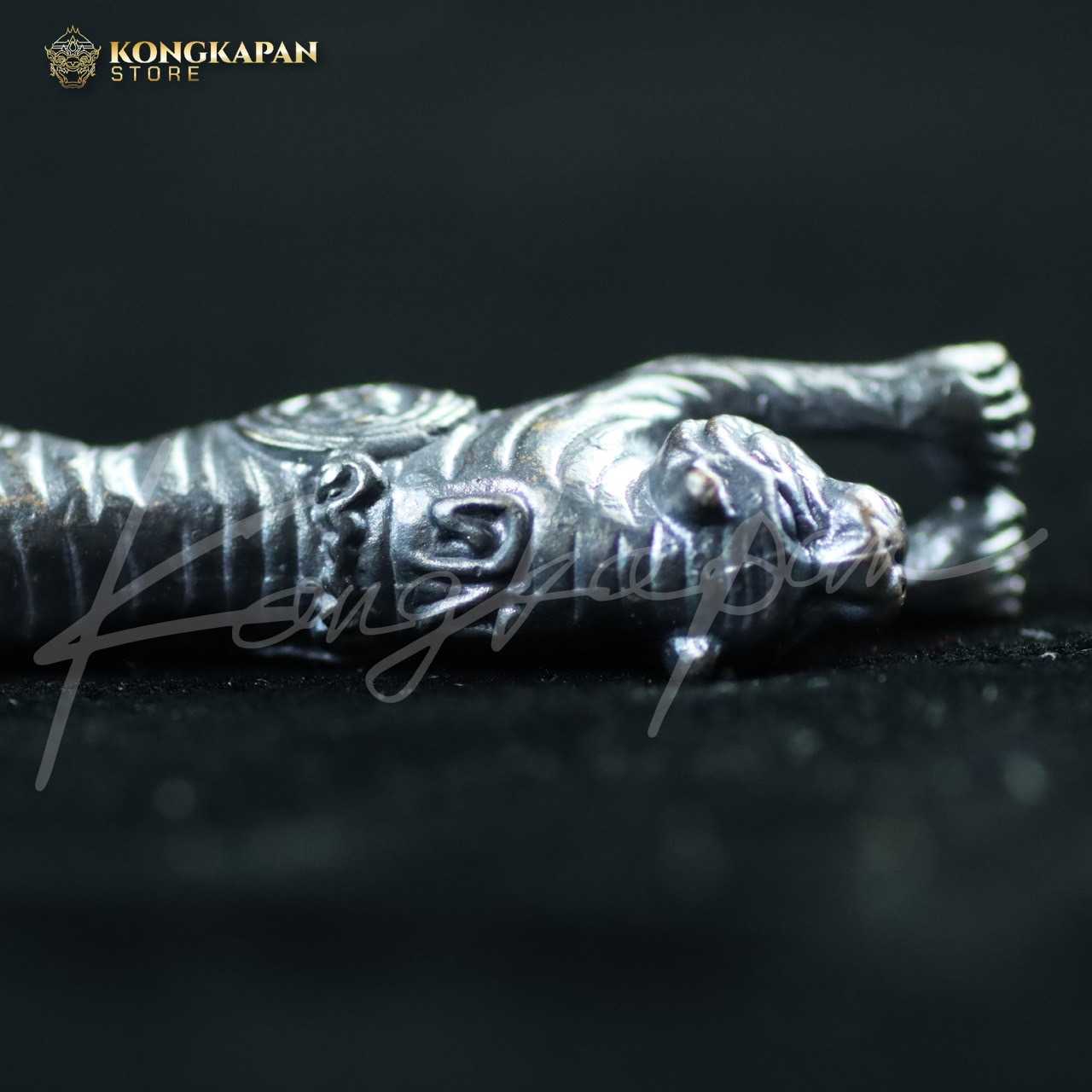 เสือสมิง เนื้อทองแดงรมดำ รุ่นปาฏิหาริย์ 5 หลวงพ่อคง วัดวังสรรพรส จ.จันทบุรี ปี 55