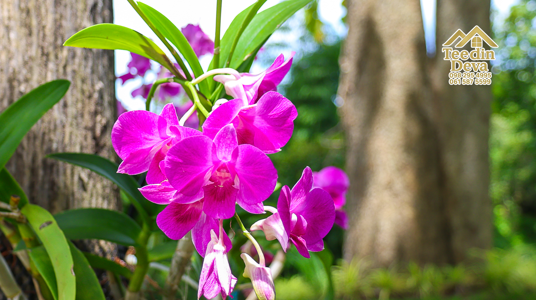 ðŋ āļāđāļēāļāļŠāļ§āļāđāļāļāļąāļ āļĢāļīāļĄāļĨāļģāļāļēāļĢ āļ§āļīāļ§āļ āļđāđāļāļēāļŠāļ§āļĒ â 821 āļāļĢ.āļ§. āļ.āļŠāļēāļĢāļīāļāļē āļ.āđāļĄāļ·āļāļ āļ.āļāļāļĢāļāļēāļĒāļ ðŋ