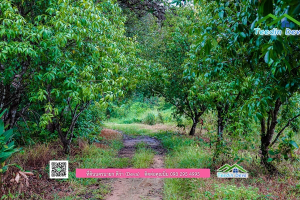 ðģð  āļāļĩāđāļāļīāļāļŠāļ§āļāļāļĨāđāļĄāđ āļāļāļēāļ 2 āđāļĢāđ 33.6 āļāļĢāļ§ āđāļŦāļĄāļēāļ°āļāļąāļāļāļēāļĢāļŠāļĢāđāļēāļāļāđāļēāļāļŠāļ§āļ āļ.āļŠāļēāļĢāļīāļāļē āļ.āđāļĄāļ·āļāļ āļ.āļāļāļĢāļāļēāļĒāļ