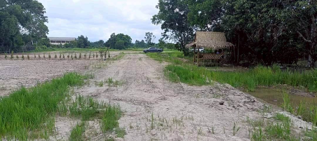 🌿 “ที่ดินสวนสวย ทำเลเงียบสงบ” 150 ตรว. ต.ศรีนาวา อ.เมือง จ.นครนายก 🌿