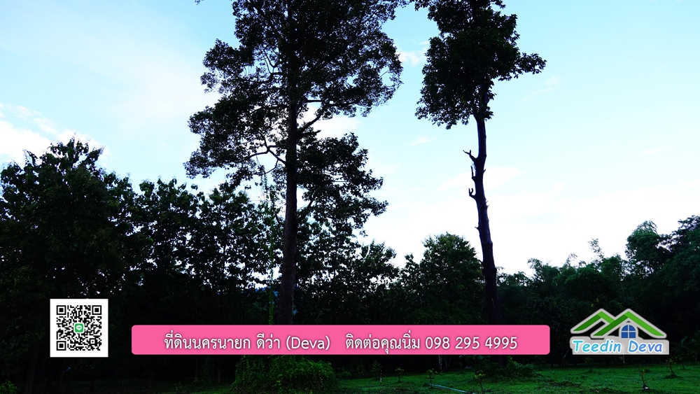 (ðī āļāļīāļāļāļēāļĢāļāļēāļĒ) āļāļĩāđāļāļīāļāļāļāļĢāļāļēāļĒāļ āļāļīāļāļĨāļģāļāļēāļĢ āļāļĨāļđāļāļāļĨāđāļĄāđ 8 āđāļĢāđ 2 āļāļēāļ āļ.āļŠāļēāļĢāļīāļāļē āļ.āđāļĄāļ·āļāļ āļ.āļāļāļĢāļāļēāļĒāļ