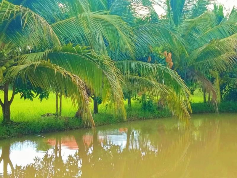 ที่ดินนครนายก บ้านสวนผลไม้ พื้นที่ 1 ไร่ 1 งาน ติดคลองส่งน้ำ ปลูกผลไม้หลากหลาย อ.ปากพลี จ.นครนายก