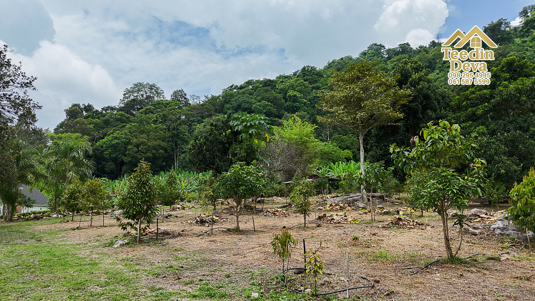 ที่ดินติดภูเขา เนินสวย พร้อมพัฒนารีสอร์ทหรือพูลวิลล่า 1 ไร่ ต.เขาพระ อ.เมือง จ.นครนายก 🏡