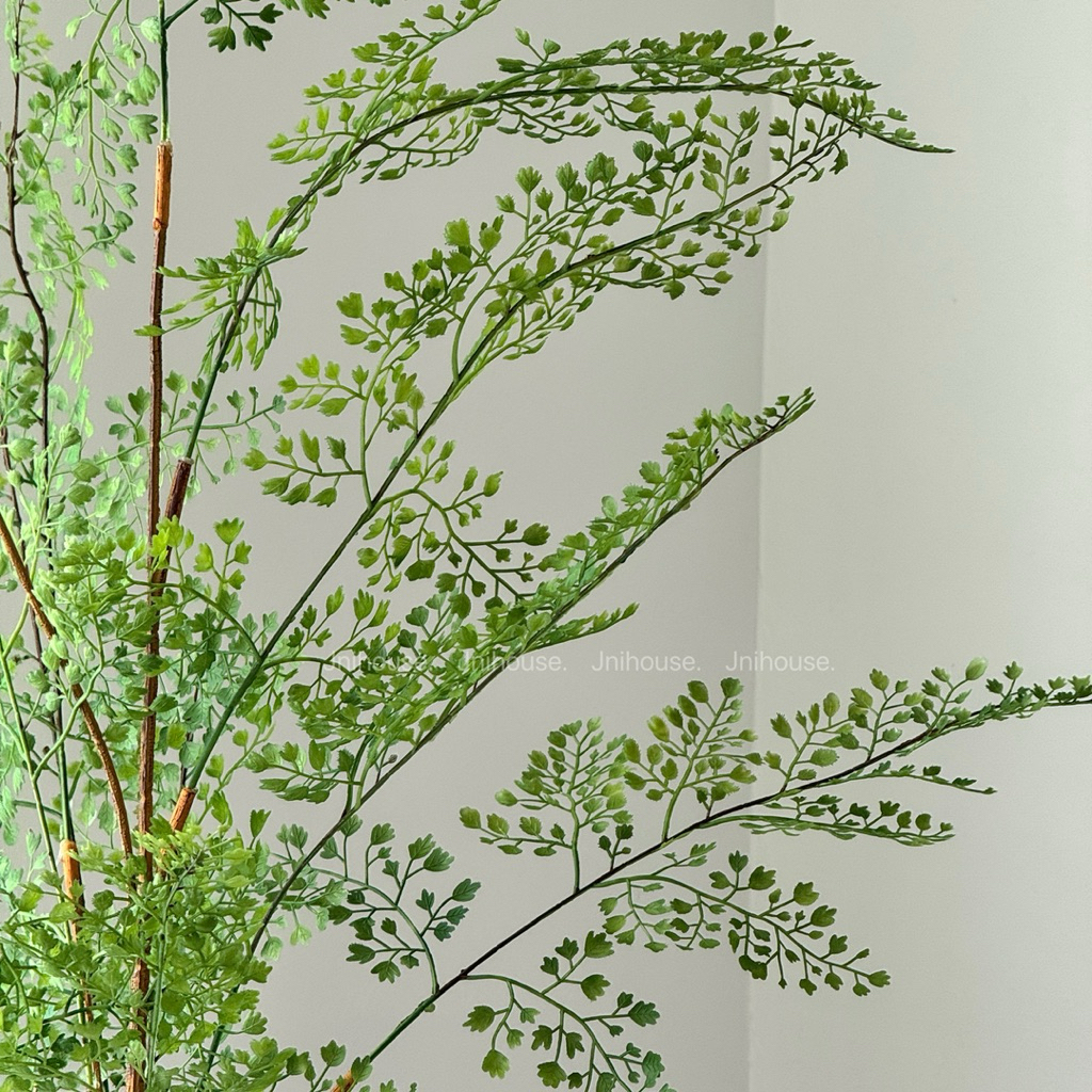 [พร้อมส่ง] Jnihouse : กิ่งเฟิร์นประดิษฐ์ (Maidenhair fern)