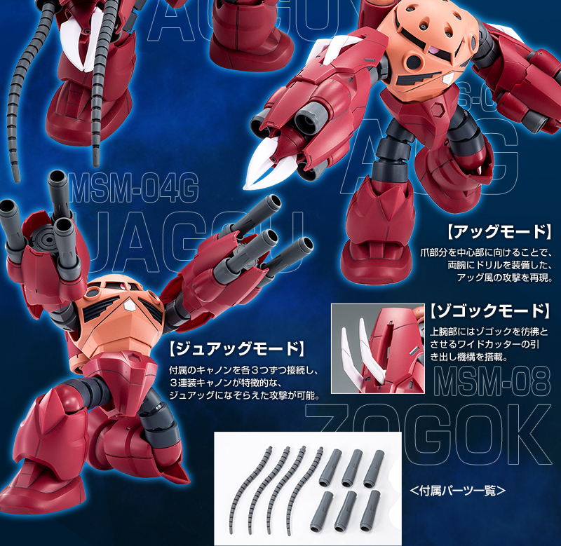 (HG) 1/144 Amazing Z'Gok (Premium Bandai)