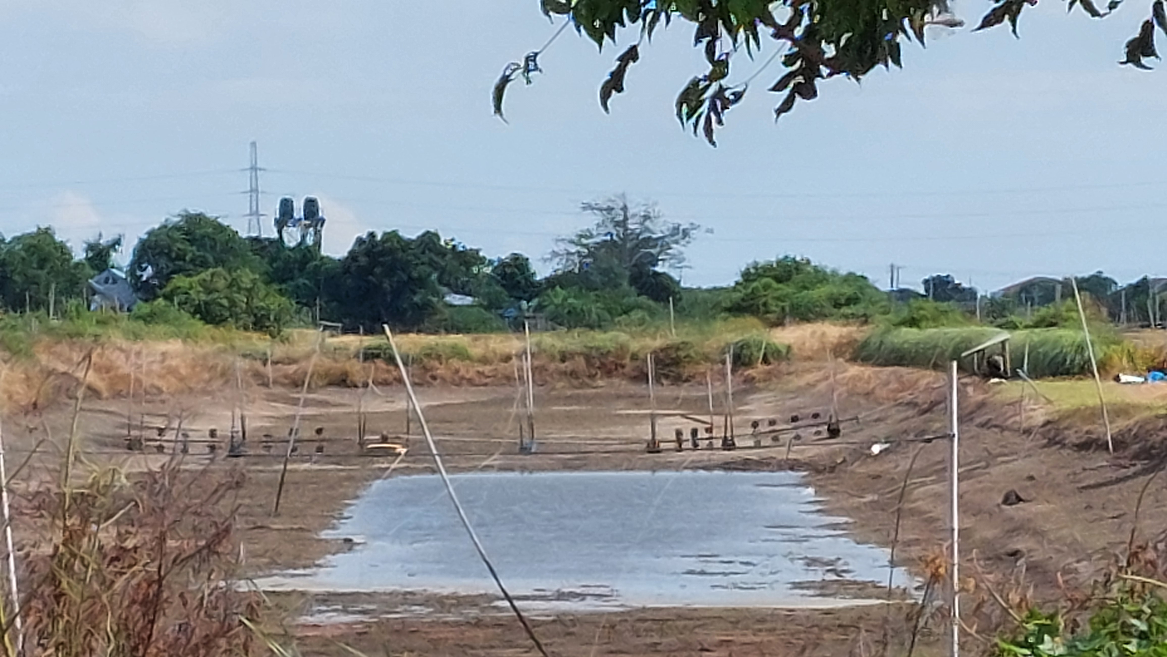 ขายที่ดิน 13-1-42 ไร่ หอมศิล ต.บางเกลือ อ.บางปะกง จ.ฉะเชิงเทรา ที่ดินแปลงสวย หน้าถนนคอนกรีต หลังติดคลองบางครกเหมาะทำร้านอาหาร, ร้านกาแฟ บ่อตกปลา เลี้ยงกุ้ง เลี้ยงปลา ทำการเกษตร หรือที่อยู่อาศัยริมน้ำ