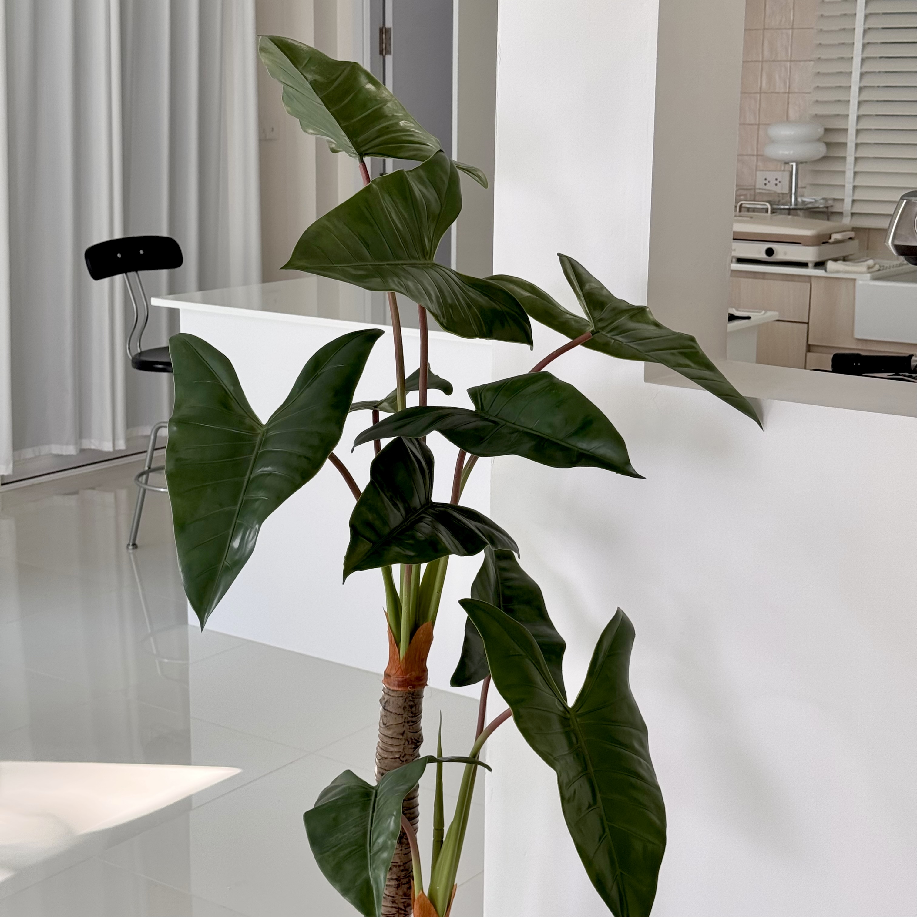 [พร้อมส่ง] Jnihouse : ต้นฟิโลเดนดรอน ก้านส้ม (ต้นไม้ประดิษฐ์)(Tree)