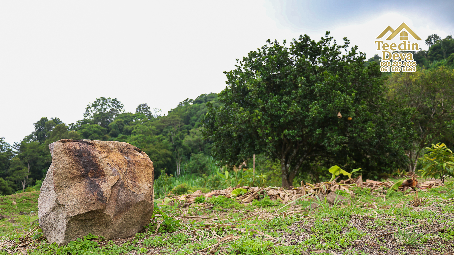 ที่ดินติดภูเขา เนินสวย พร้อมพัฒนารีสอร์ทหรือพูลวิลล่า 1 ไร่ ต.เขาพระ อ.เมือง จ.นครนายก 🏡