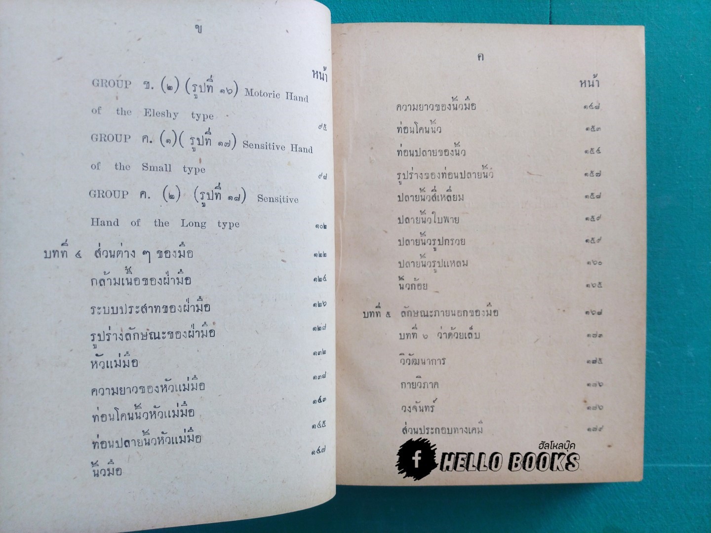 ตำราดูลายมือ และวิจารณ์ทางจิต