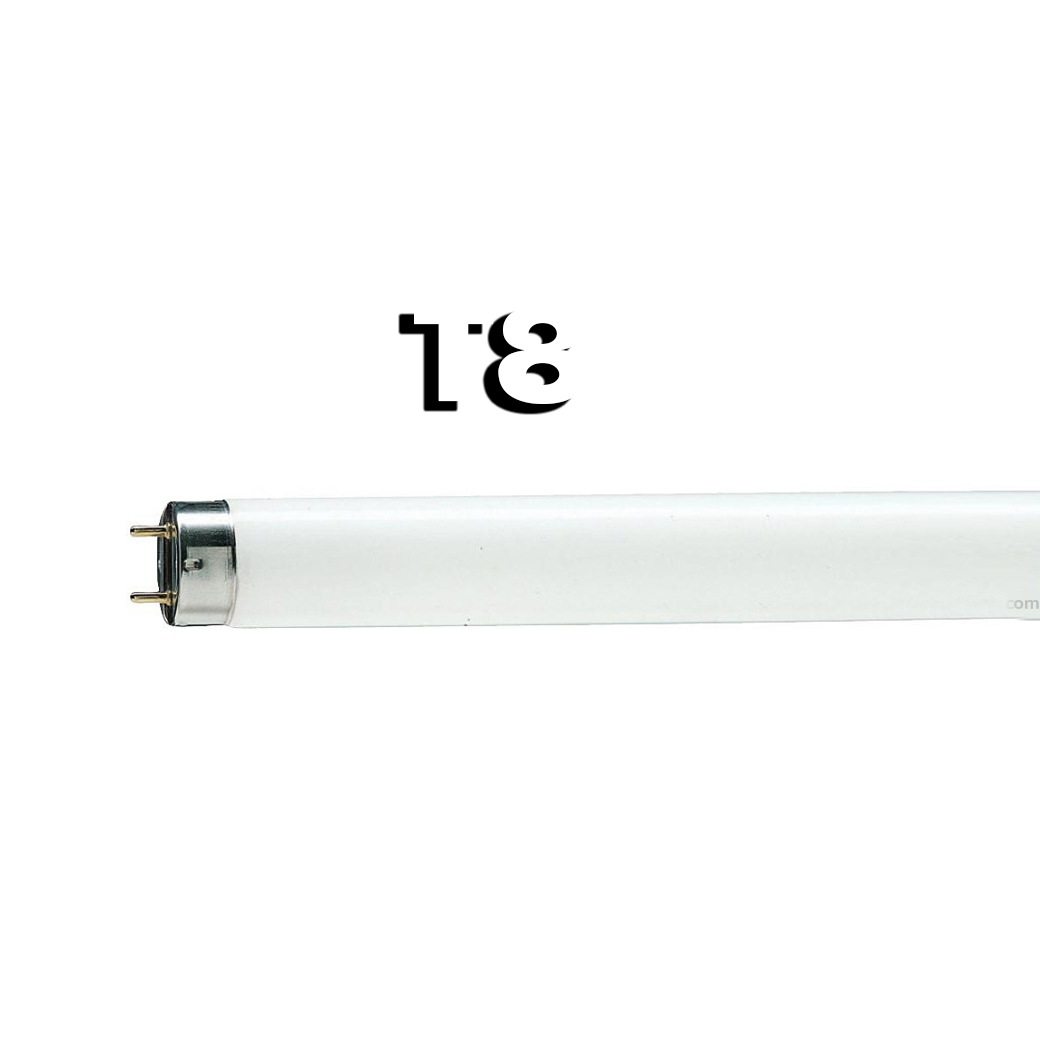 Philips Fluorescent นีออนฟิลิปส์ T8/TLD54 18W/60CM Daylight สั้น (3 หลอด)