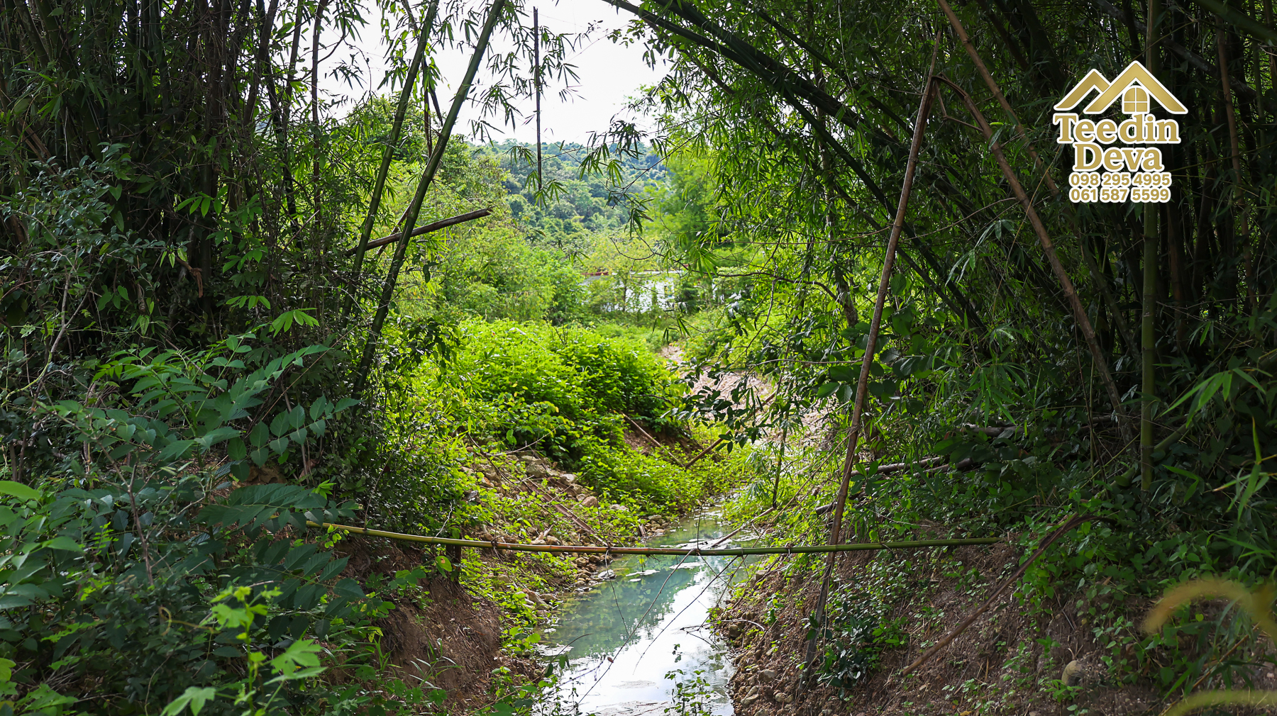🏞️ “ผืนธรรมชาติกลางหุบเขา” 12 ไร่ 2 งาน 93.3 ตร.วา – ต.สาริกา อ.เมือง จ.นครนายก 🌳