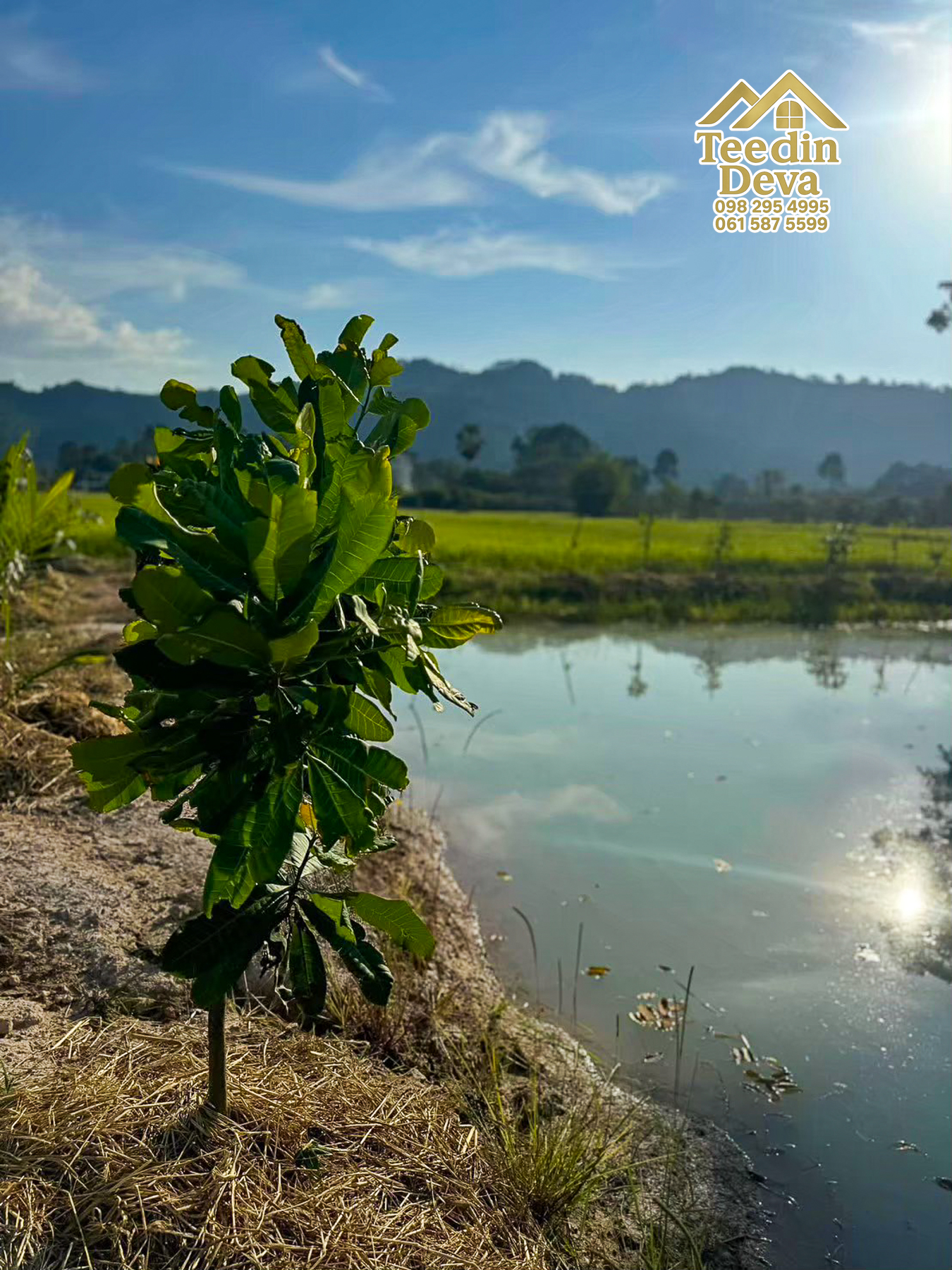 🏞️ ที่ดินวิวภูเขา จุดเริ่มต้นของบ้านในฝัน เนื้อที่ 300 ตารางวา ต.เขาพระ อ.เมือง จ.นครนายก