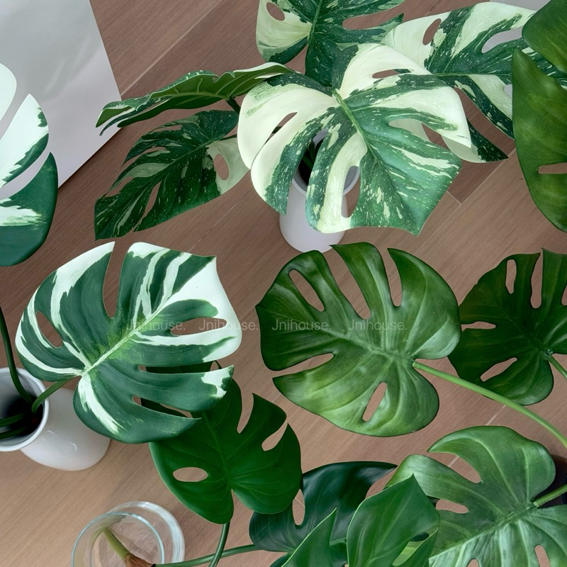 [พร้อมส่ง] Jnihouse : กิ่งมอนสเตร่าประดิษฐ์ (Monstera Plant)(Tree)