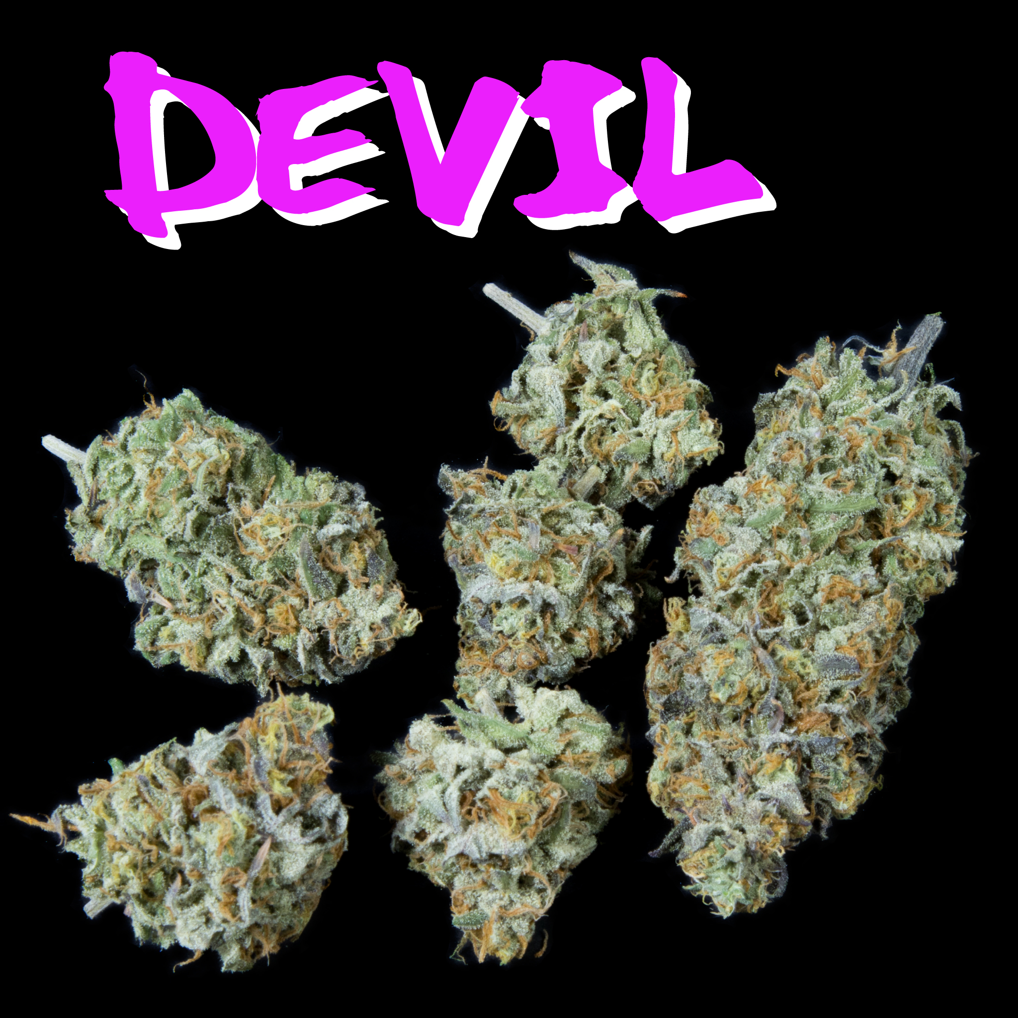 Devil (In Door)