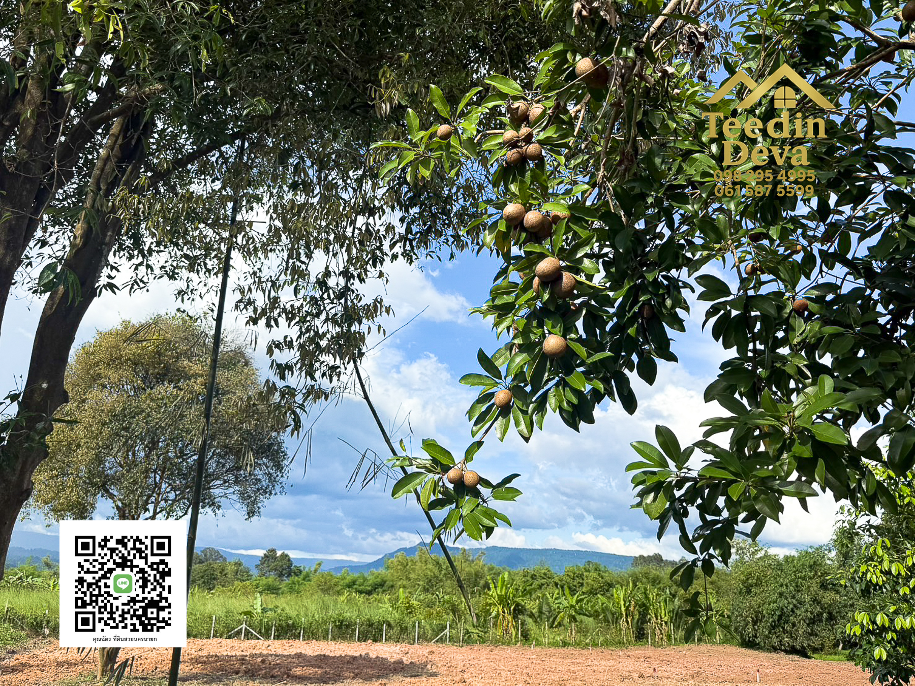 🌄 บ้านสวนผลไม้ในฝันกลางวิวเขาใหญ่ — 2 ไร่ 45 ตรว. ต.นาหินลาด อ.ปากพลี จ.นครนายก 🍃