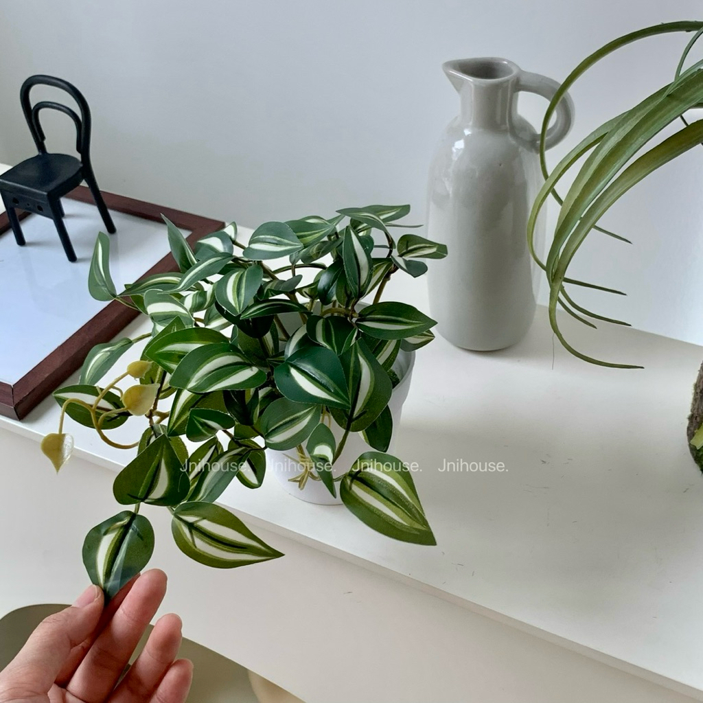 [พร้อมส่ง] Jnihouse : (รุ่นสั้น)ต้นก้ามปูด่างประดิษฐ์+กระถางพลาสติกขาว