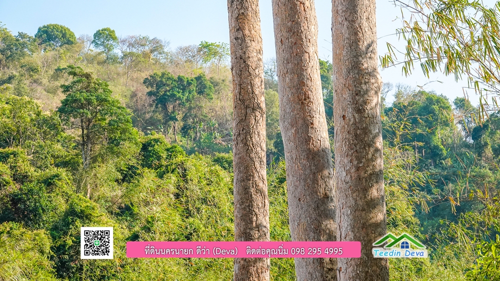 ที่ดินนครนายก วิวเขาพระ เขาใหญ่ ⭐ อยู่ใกล้แหล่งท่องเที่ยว เดินทางสะดวก ต.เขาพระ อ.เมือง จ.นครนายก