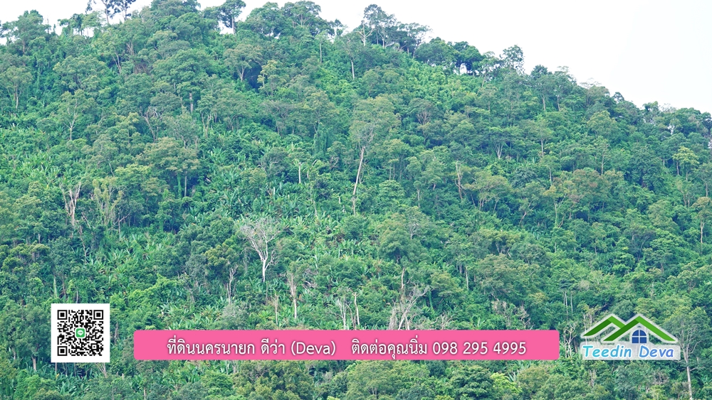 ที่ดินนครนายก ติดลำธารสวยๆ ที่ดินแปลงสวย 6 ไร่ ทำเลดี ในอ้อมกอดของขุนเขา ด้านหลังติดลำธารธรรมชาติ