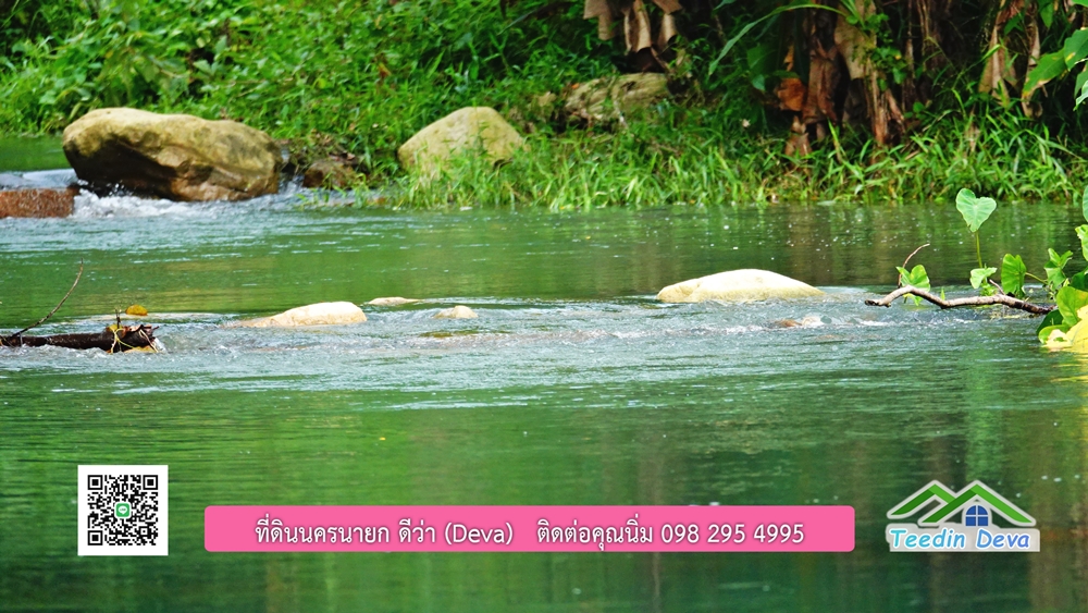 ที่ดินนครนายก ติดลำธารสวยๆ ที่ดินแปลงสวย 6 ไร่ ทำเลดี ในอ้อมกอดของขุนเขา ด้านหลังติดลำธารธรรมชาติ