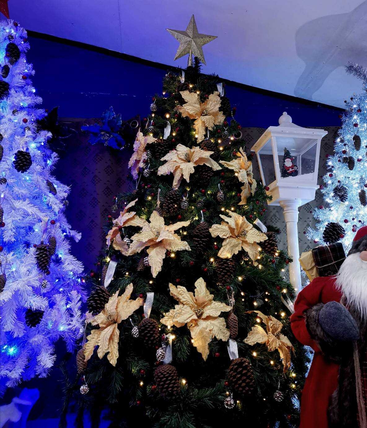 ต้นคริสต์มาสมีทุกไซซ์เลือกแบบขอใบเสนอราคา