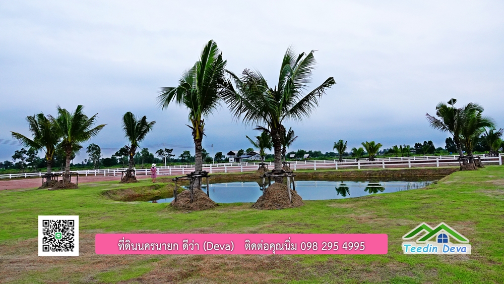 ที่ดินนครนายก โครงการ mountain 6