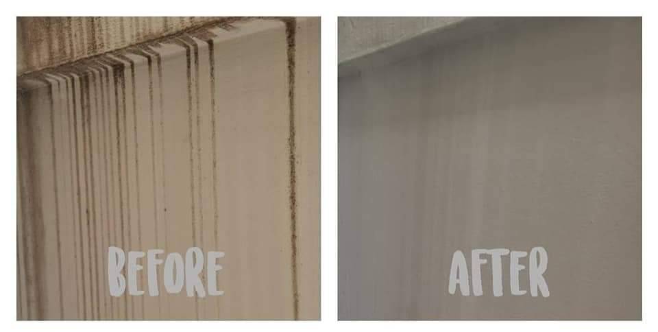 สเปรย์กำจัดคราบเชื้อราและคราบฝังลึก JOHNSON KABI KILLER SPRAY