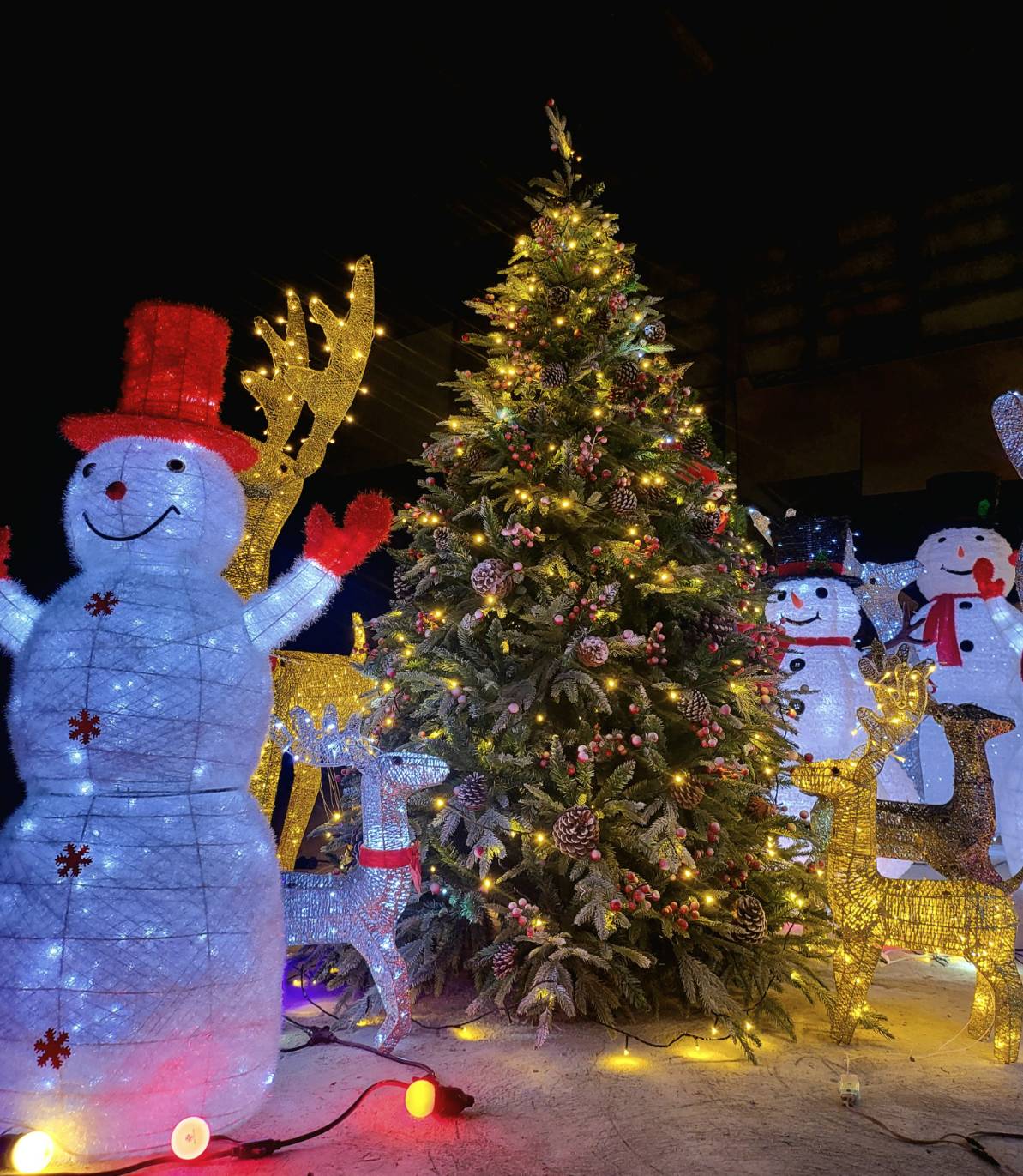 เช่าต้นคริสต์มาสประดับสถานที่