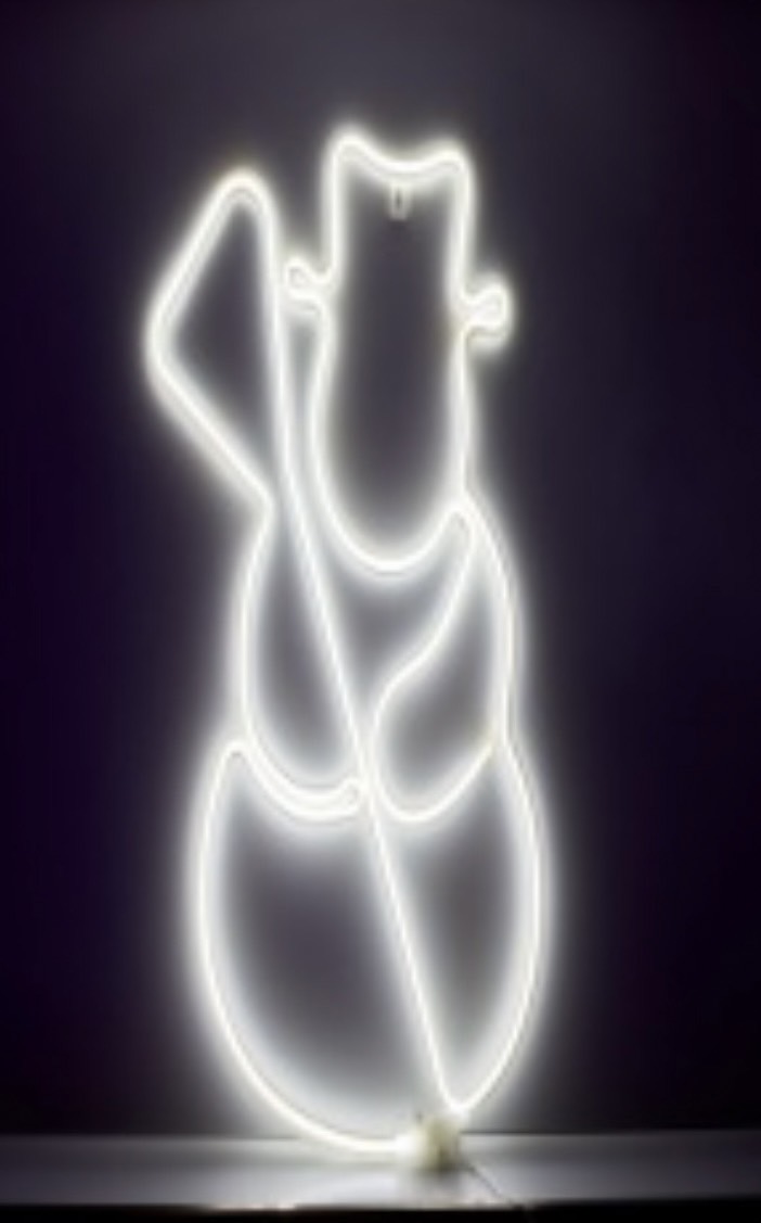 snowman ไฟเฟล๊ก ติด ตั้ง ตกแต่ง