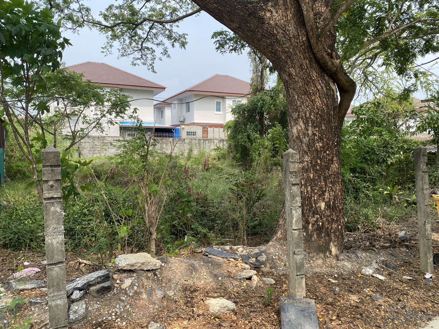 ขายที่ดิน ขนาด 116 ตารางวา ซอยสกุลดี หนองจอก มีนบุรี – การเดินทางทั้ง ถนนสกุลดี ถนนผดุงพันธ์ ถนนสังฆสันติสุข ถนนเลียบวารี – ถนนเชื่อมสัมพันธิ์ ถนนสุวินทวงศ์