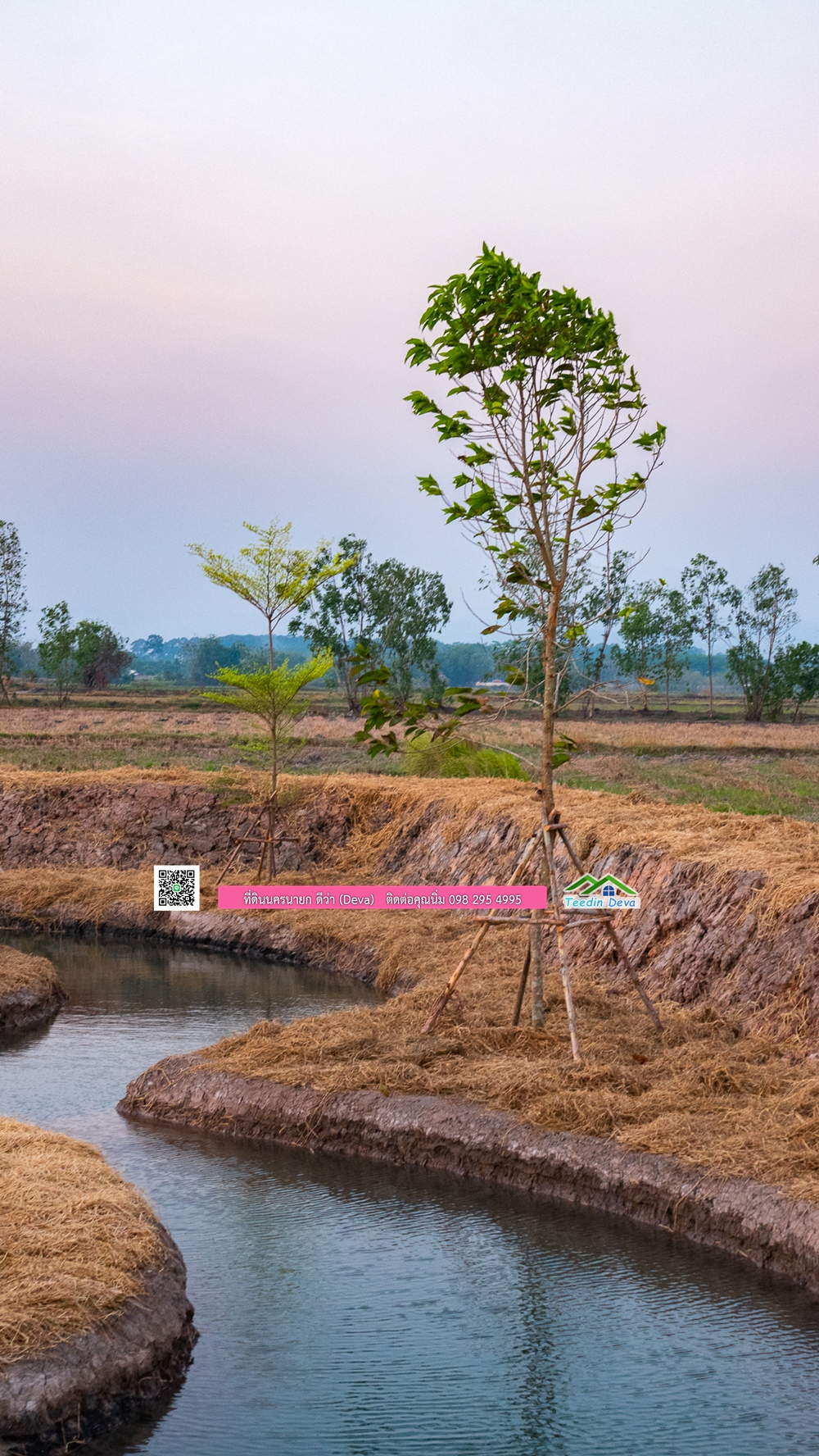🌿 ที่ดินสวยๆ ขนาด 2 ไร่ พร้อมน้ำไฟ ดินดี น้ำดี อากาศดี มีเพื่อนบ้าน ณ ต.ปากพลี อ.ปากพลี จ.นครนายก