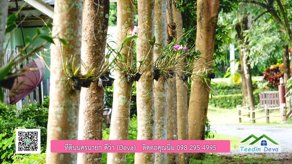 ขายรีสอร์ท ขนาด 10 ไร่ บรรยากาศดี ใกล้แหล่งท่อเที่ยว