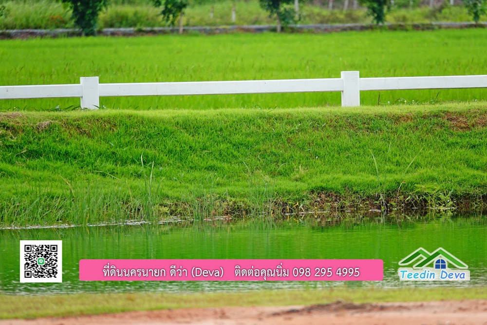 ที่ดินนครนายก โครงการ Mountain 3 อ.บ้านนา จ.นครนายก