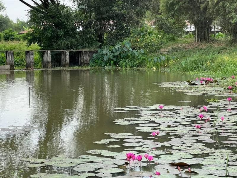 ที่ดินนครนายก วิวภูเขา ติดกับ ฝายทดน้ำ ถนนสาธาณะ พื้นที่ 516 ตร.ว. ต.เขาเพิ่ม อ.บ้านนา จ.นครนายก