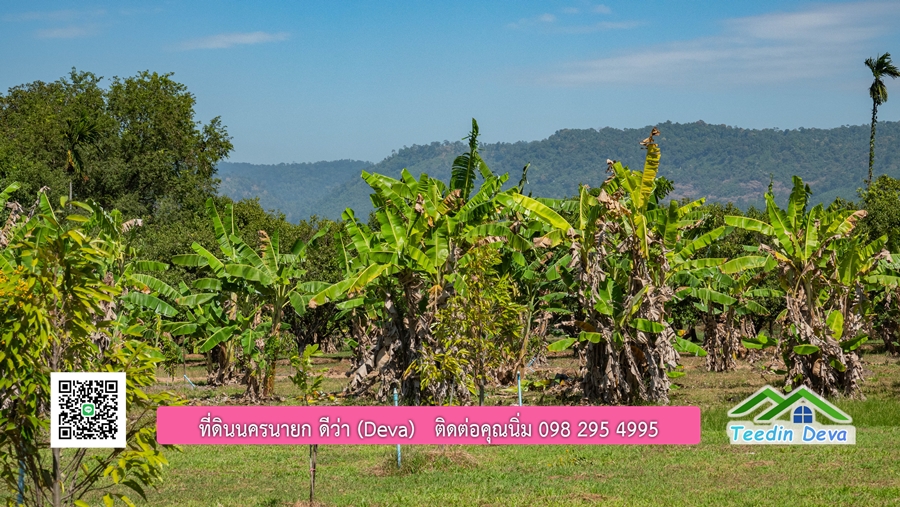 (ติดจอง) ที่ดินนครนายก บ้านสวน พร้อมที่ดิน ขนาด 1 ไร่ 1 งาน วิวภูเขาสวย อยู่ใกล้เขื่อนขุนด่านปราการชล