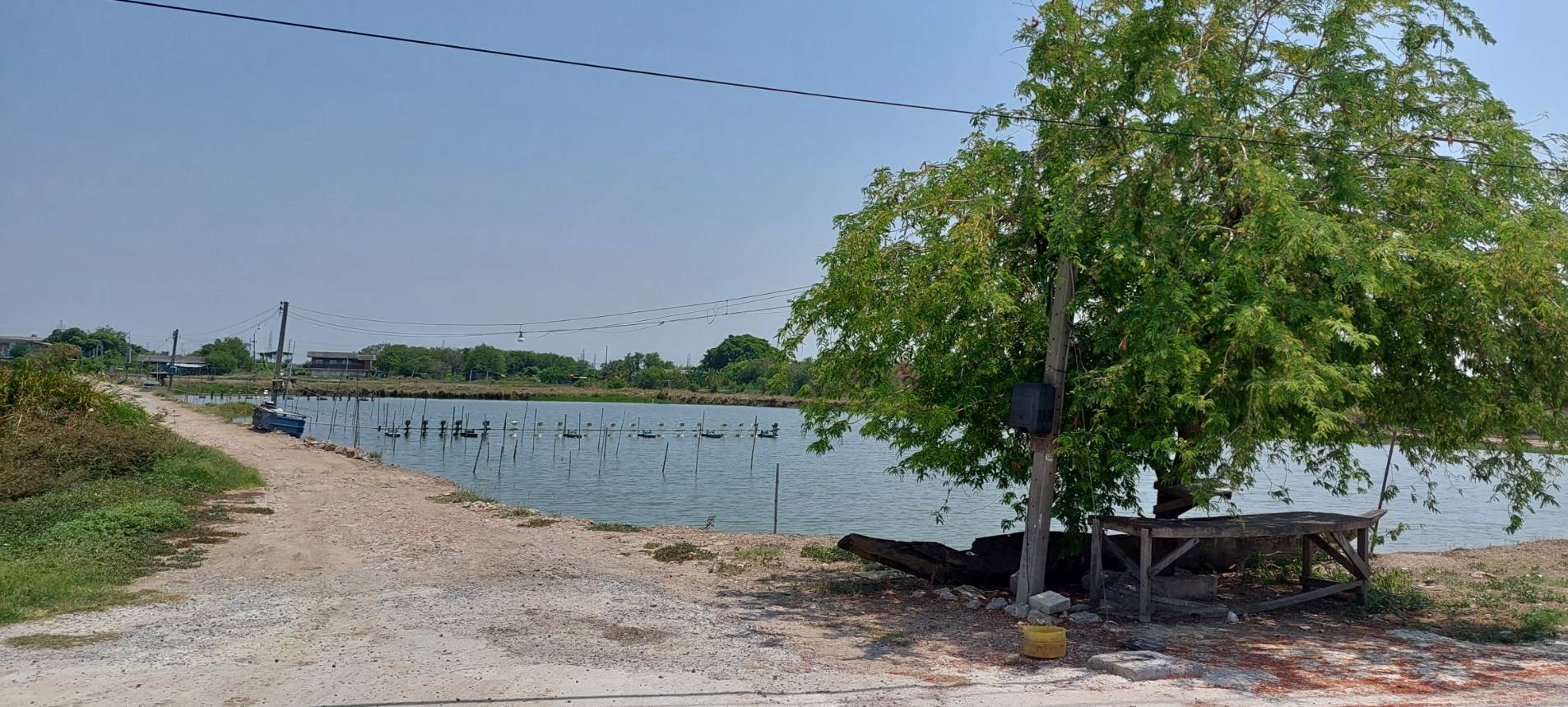 • ขาย ที่ดิน เนื้อที่ 8 ไร่ ถนนจรัญยานนท์ อำเภอบางปะกง ฉะเชิงเทรา • เป็นที่ดินบ่อกุ้ง/บ่อปลา อยู่ติดคลองสำโรง ใกล้ถนนบางนา-ตราด • เหมาะสำหรับธุรกิจบ่อตกปลา/ตกกุ้ง เลี้ยงปลาเลี้ยงกุ้ง หรือร้านอาหาร.