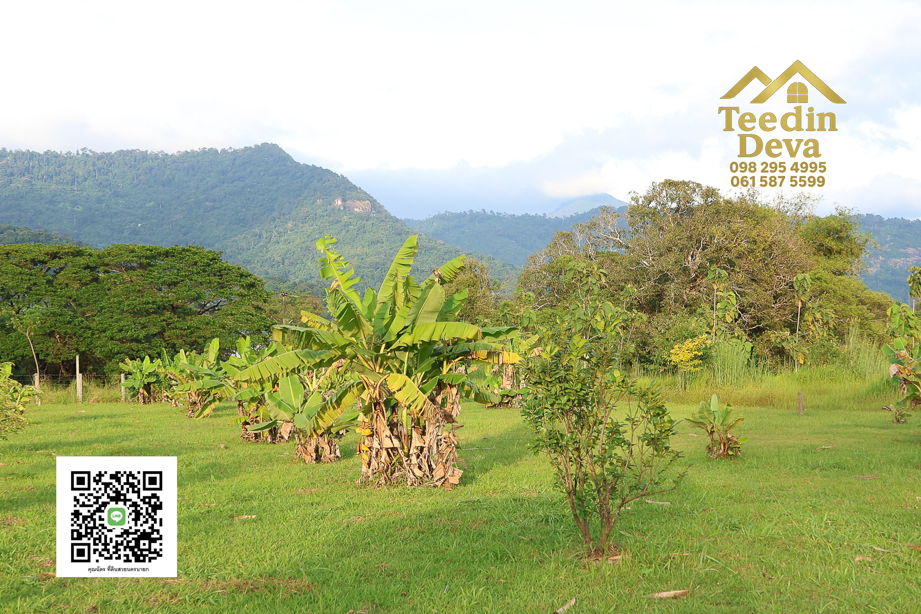 🌿 เริ่มต้นความสุขเล็ก ๆ ด้วยที่ดินแปลงสวย วิวเขา กลางธรรมชาติ ต.สาริกา อ.เมือง จ.นครนายก 💚