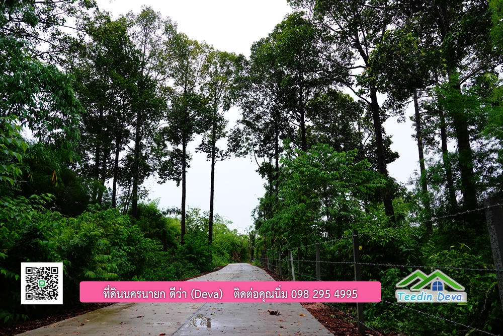 ที่ดินนครนายก วิวภูเขาสวยๆ ราคาแปลงละ 1.36 ล้านบาท สด และผ่อน