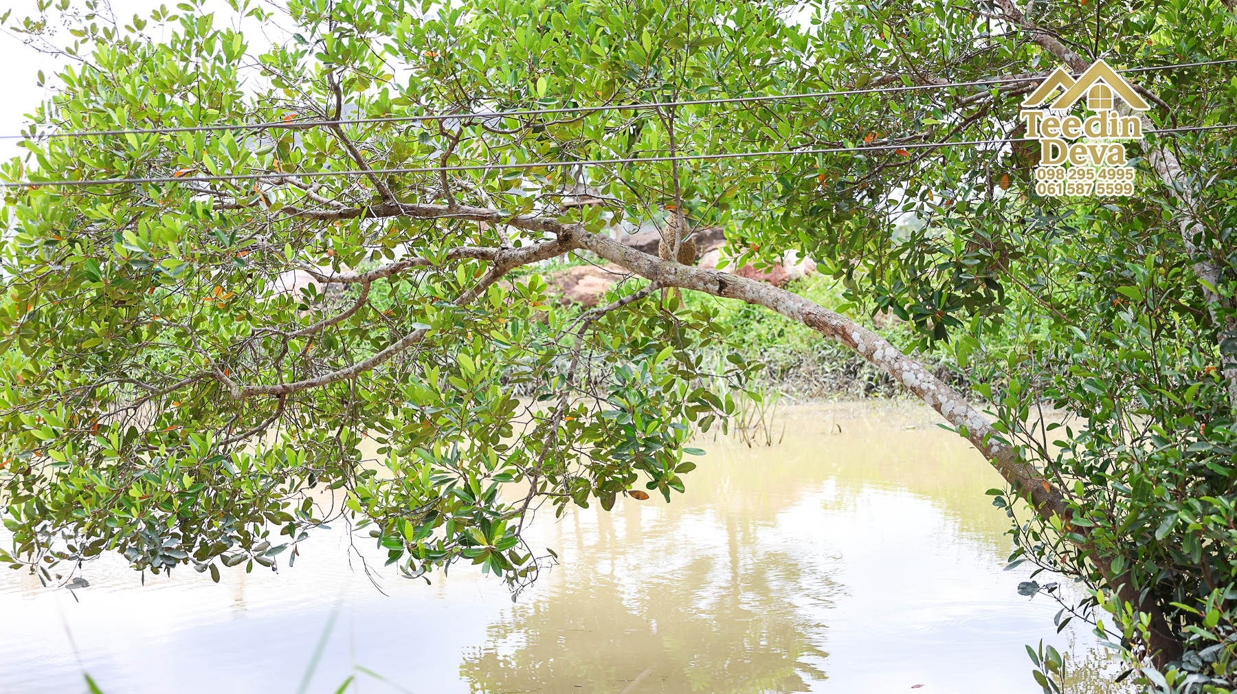 ที่ดินติดภูเขา เนินสวย พร้อมพัฒนารีสอร์ทหรือพูลวิลล่า 1 ไร่ ต.เขาพระ อ.เมือง จ.นครนายก 🏡